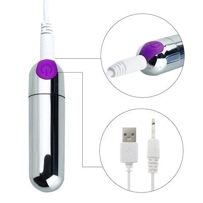 USB Charging 10 Speed Silver Vibrating Sex Bullet