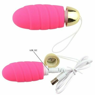 10 Mode Vibration Remote Control USB Rechargeable Vibrating Sex Egg