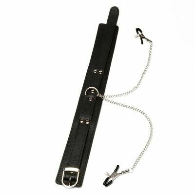 Nipple Clamps & Slave Collar