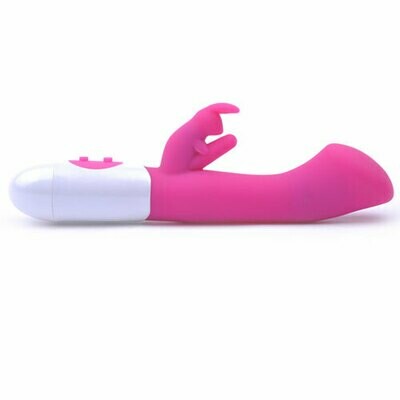Silicone Rabbit G-Spot Vibrator ( Dual Motors )