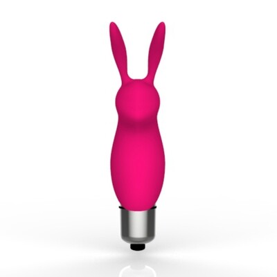 Naughty Bunny Pocket Vibe