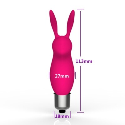 Naughty Bunny Pocket Vibe