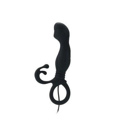 Aphrodisia Little Turtle Prostate Vibrating Stimulator