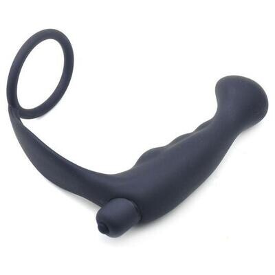 Cock Ring and Anal Prostate Massager Combo