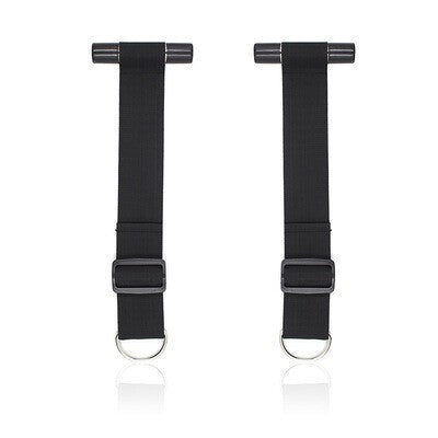 Deluxe Over The Door Restraint System
