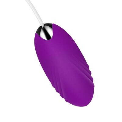 Orgasmic Stimulation Wired Egg Vibrator