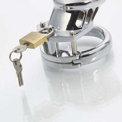 Insatiable Mister Metal Chastity Device