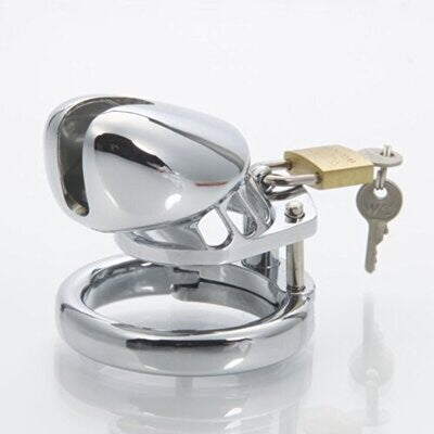 Insatiable Mister Metal Chastity Device