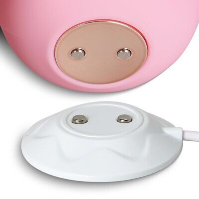 Silicone Clitoral Sucking Rose Vibrator