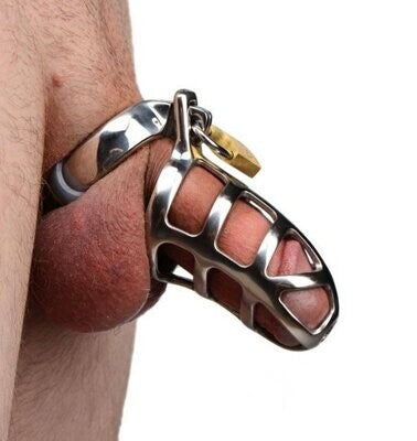 Stainless Steel Penis Ring Chastity Device