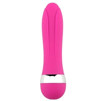 Posh Mini Vibrator Stimulator