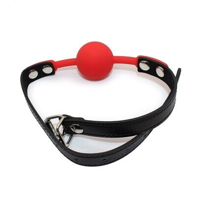 SM Silicone Ball Mouth Gag