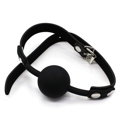 SM Silicone Ball Mouth Gag