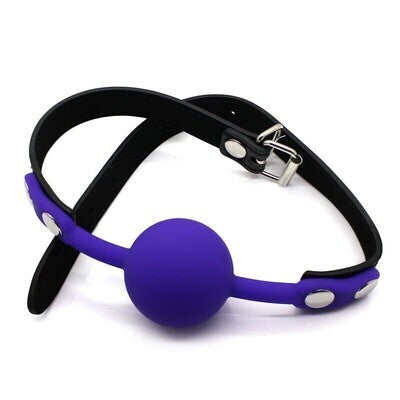 SM Silicone Ball Mouth Gag