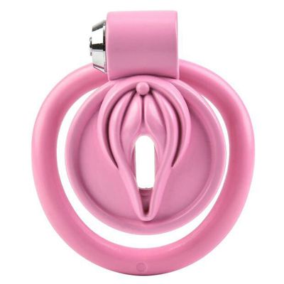 Pussification Vulva Chastity Cage