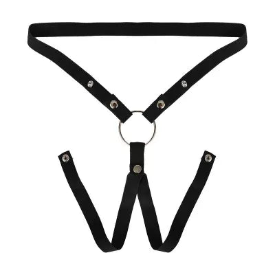 Inverted Chastity Belt Male To Female Sissyfication