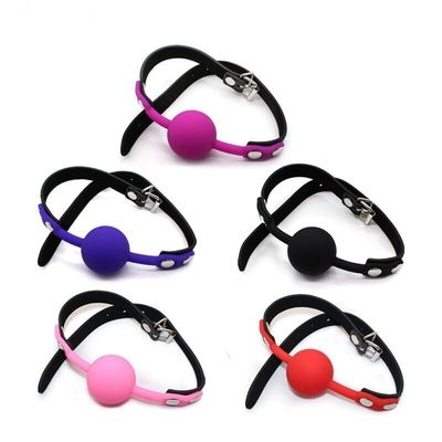 SM Silicone Ball Mouth Gag