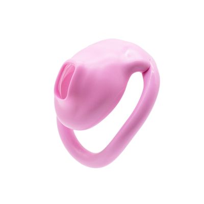 Concealable Public Sissy Chastity Cage